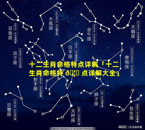 十二生肖命格特点详解「十二生肖命格特 🦅 点详解大全」